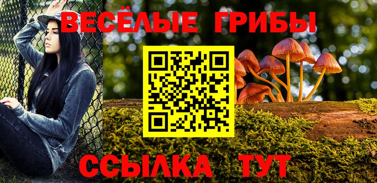 Галлюциногенные грибы Cubensis Нижневартовск
